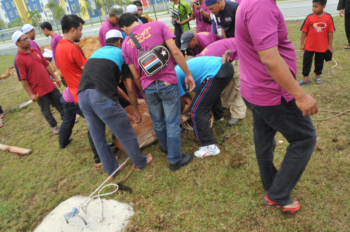 PRO15 150 KORBAN HAS 6834